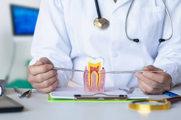 Best Emergency Dentist for Lost Fillings or Crowns in Sinking Spring, PA